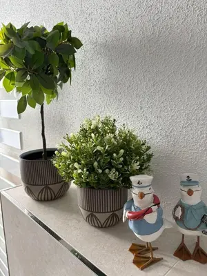 Grundriss der Unterkunft Ostseemöwe NEU
