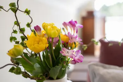 Grundriss der Unterkunft Ferienwohnung Dünenrose