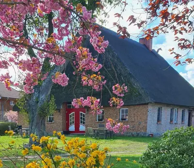 Ein Garten an der Unterkunft Bauernhaus Dierhagen