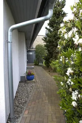 Ein Garten an der Unterkunft Seestern