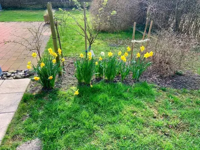 Ein Garten an der Unterkunft Utkiek 2