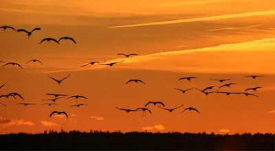 Blick auf den Sonnenuntergang/Sonnenaufgang von der Ferienwohnung aus oder aus der Nähe