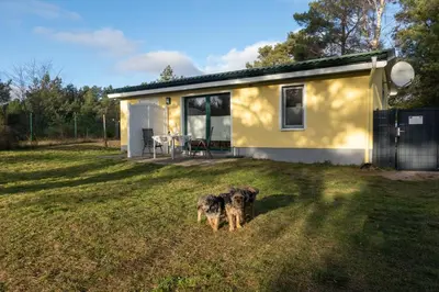 Haustiere von Gästen der Unterkunft Bodden Paradise Cottage - b65141