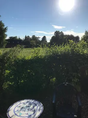Ein Garten an der Unterkunft Sommerwiese