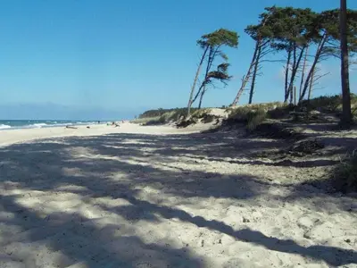 Naturlandschaft in der Nähe des Ferienhauses