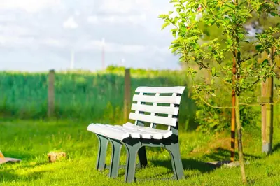 Ein Garten an der Unterkunft Am Bodden Krapp´s - Boddenidyll