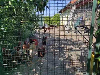 Grundriss der Unterkunft FeWo in Barth 