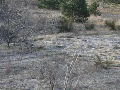 Naturlandschaft in der Nähe des Ferienhauses