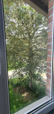 Ein Garten an der Unterkunft De lütt Stuuv