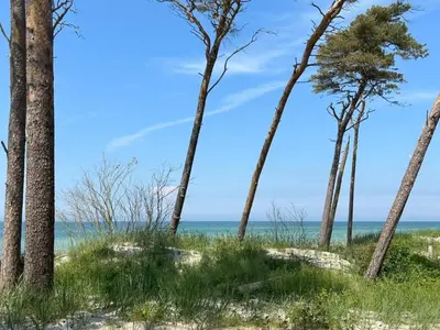 Naturlandschaft in der Nähe des Ferienhauses