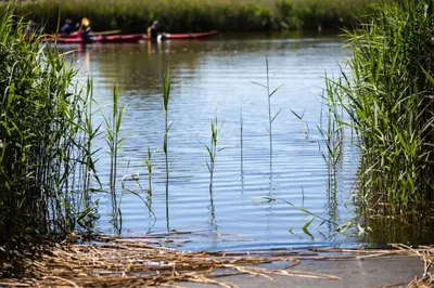Naturlandschaft in der Nähe der Ferienwohnung
