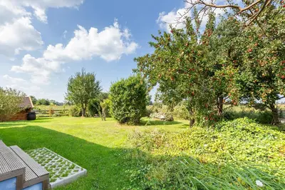 Ein Garten an der Unterkunft Eenhoorn