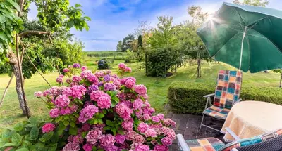 Ein Garten an der Unterkunft Am Bodden Krapp´s - Apartment