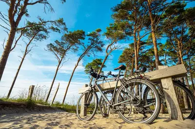 Radfahren an der Unterkunft 5-Sterne-Apartment Ostseeblick inklusive Strandkorb von April-Oktober oder in der Nähe