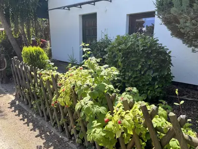 Ein Garten an der Unterkunft Boddenhus Fuhlendorf