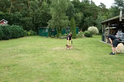 Gäste, die in der Unterkunft Ferienhaus Waldblick übernachten