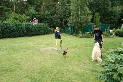 Gäste, die in der Unterkunft Ferienhaus Waldblick übernachten