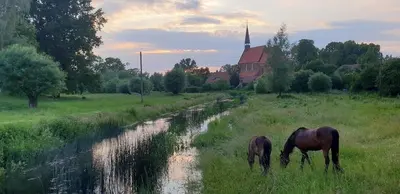 Tiere in der Ferienwohnung oder in der Nähe