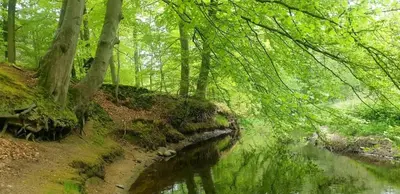 Naturlandschaft in der Nähe der Ferienwohnung