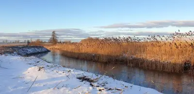 Naturlandschaft in der Nähe der Ferienwohnung