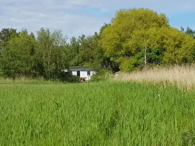 Naturlandschaft in der Nähe des Ferienhauses