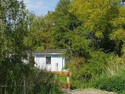 Ein Garten an der Unterkunft Haus Wellenrauschen