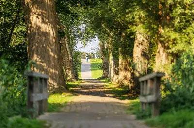 Grundriss der Unterkunft Seebadquartier - Ihr Rückzugsort zwischen Ostsee und Bodden