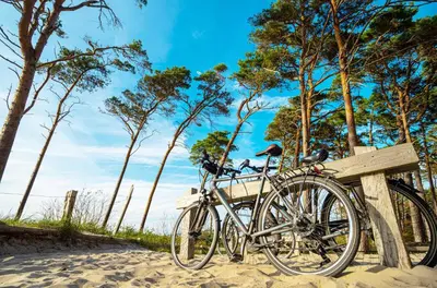 Radfahren an der Unterkunft Seebadquartier - Ihr Rückzugsort zwischen Ostsee und Bodden oder in der Nähe