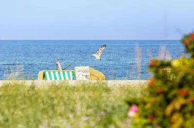 Naturlandschaft in der Nähe der Ferienwohnung