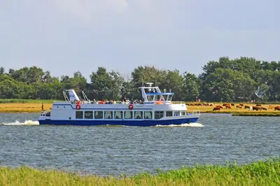 Naturlandschaft in der Nähe des Ferienhauses