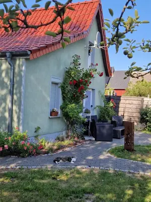 Ein Garten an der Unterkunft Marin