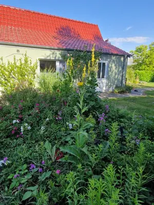 Ein Garten an der Unterkunft Marin