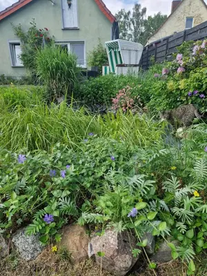 Ein Garten an der Unterkunft Marin