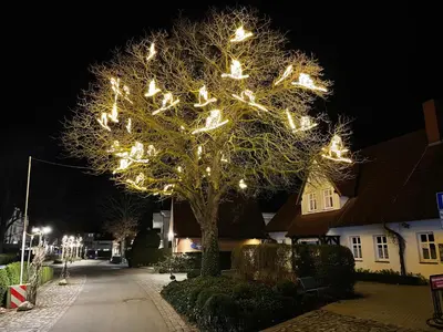 Grundriss der Unterkunft Appartementhaus Zingst 2 - Urlaub zwischen Meer & Bodden