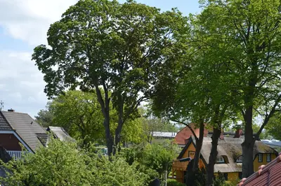 Das Gebäude in dem sich die Ferienwohnung befindet