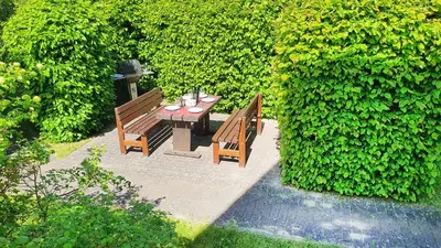 Ein Garten an der Unterkunft Buchengrund Wo 6