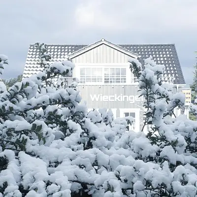 Wieckinger im Winter
