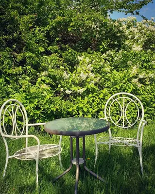 Ein Garten an der Unterkunft Wieckinger