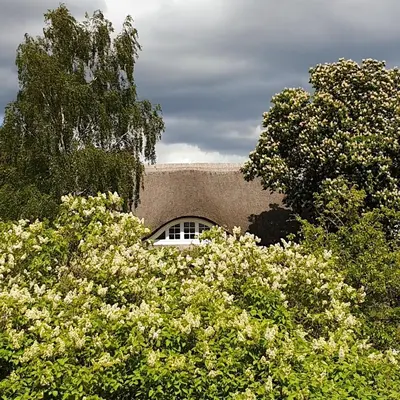 Ein Garten an der Unterkunft Wieckinger