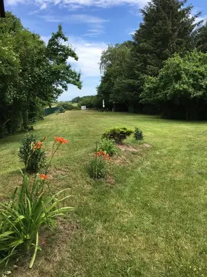 Ein Garten an der Unterkunft Ferienhaus zur Kranichweide