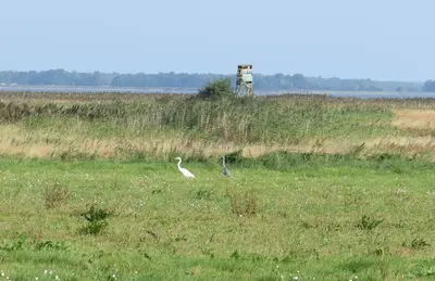 Naturlandschaft in der Nähe des Ferienhauses