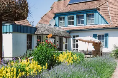 Ein Garten an der Unterkunft Haus am Schilf - Wohnung 2