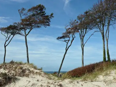 Naturlandschaft in der Nähe des Ferienhauses