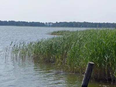 Naturlandschaft in der Nähe des Ferienhauses