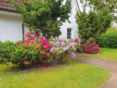 Ein Garten an der Unterkunft Kormoran Wohnung 13