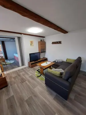 TV/Unterhaltungsangebot in der Unterkunft Ferienhaus für 2 Personen mit Terrasse