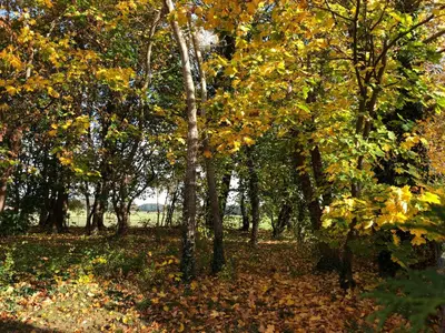Naturlandschaft in der Nähe der Ferienwohnung