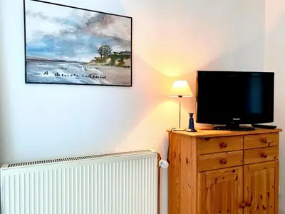 TV/Unterhaltungsangebot in der Unterkunft Achtern Diek Haus 8 Wohnung 3