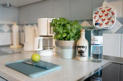 Küche/Küchenzeile in der Unterkunft Achtern Diek Haus 9 Wohnung 5