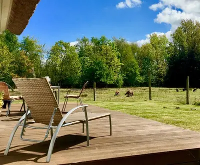 Ein Garten an der Unterkunft Straminke 4b Wohnung Strandläufer